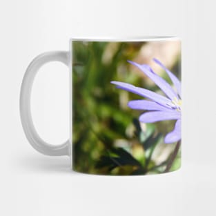 Honey bee V / Swiss Artwork Photography Mug